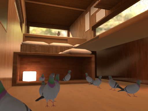 ハトまつり Pigeon Cottage
