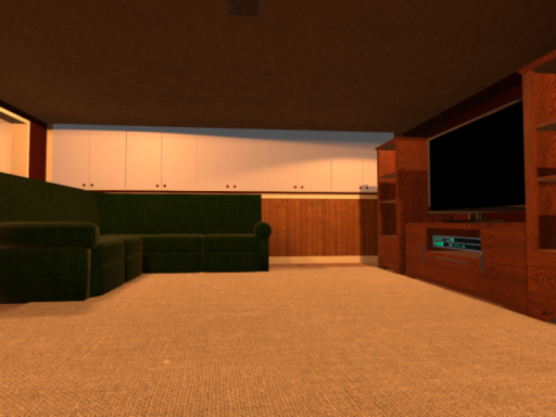 Basement living room