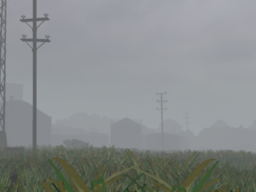 Quite foggy
