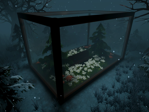 Winter Solace