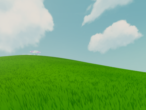 XP Experience