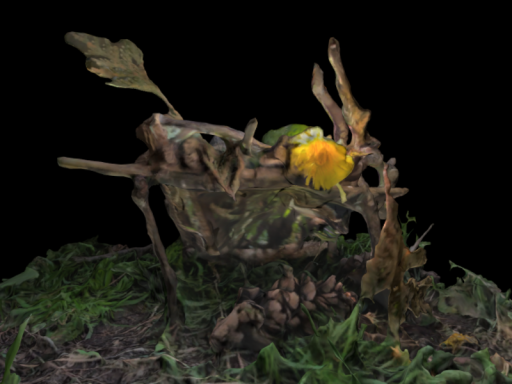 Faerie home