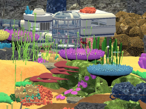 Coral Kingdom