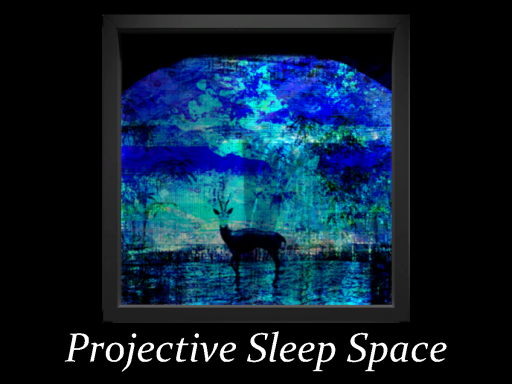 Projective Sleep Space
