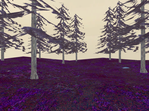 Forest test