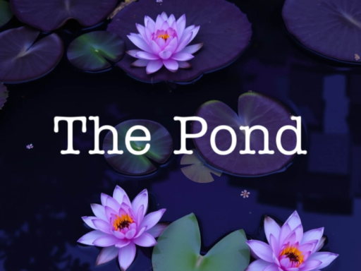 The Pond V1