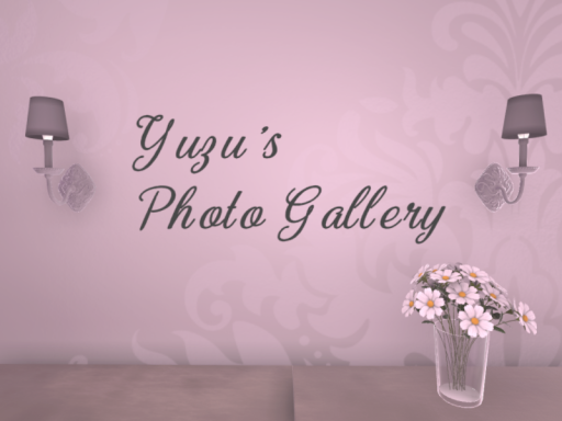 Yuzu's Photo Gallery