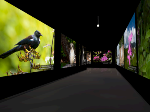eni9 Nature Gallery