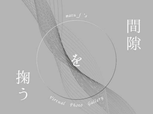 間隙を掬う PhotoGallery
