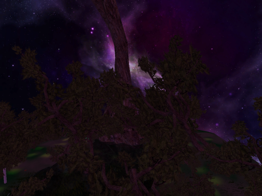 Swampy Night