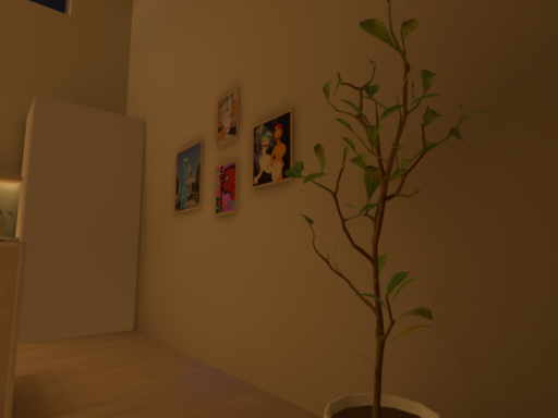 ＊NEKO's Chill House＊