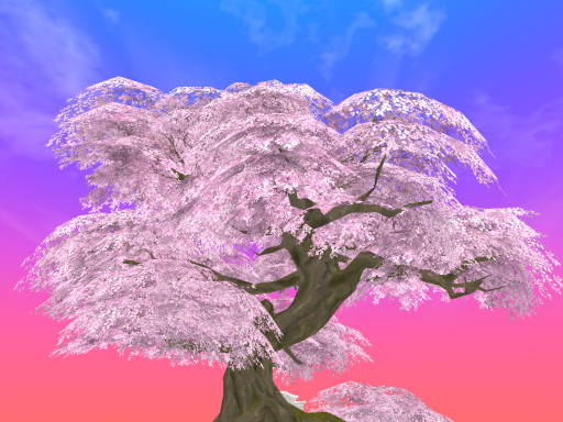 SAKURA