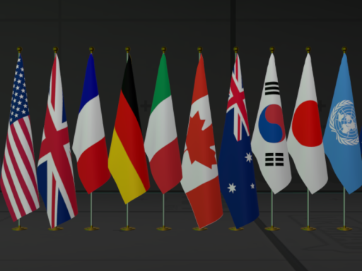Flag Portrait