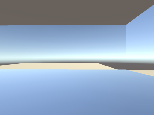 mirror world