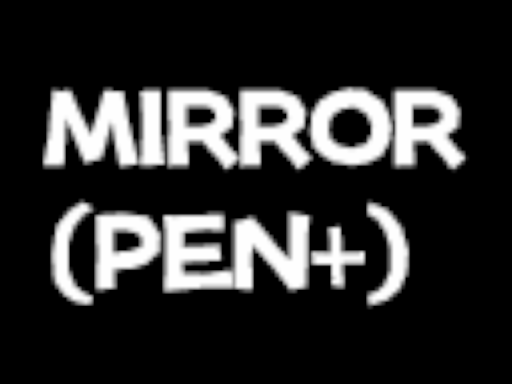 mirror ＋pen