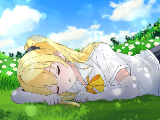 Daisy Field