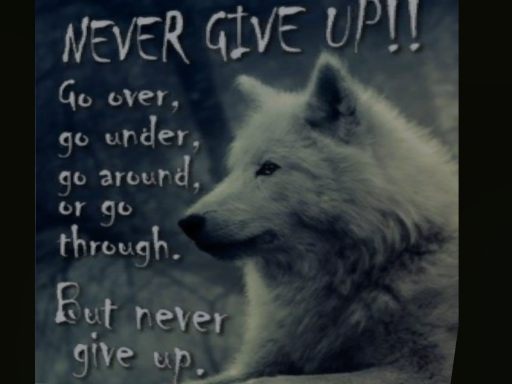 World of the Wolves