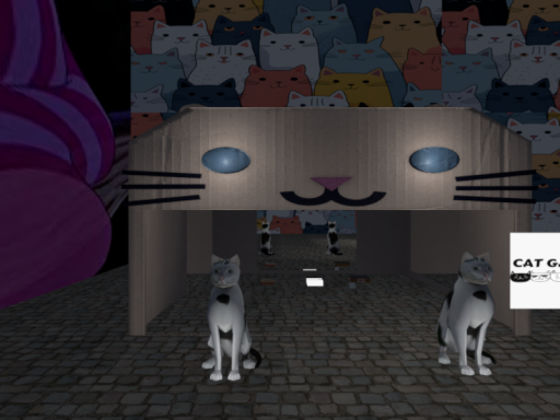 cat gang group