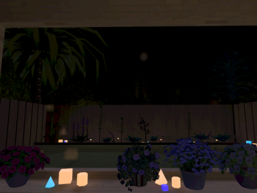 Back Yard Night