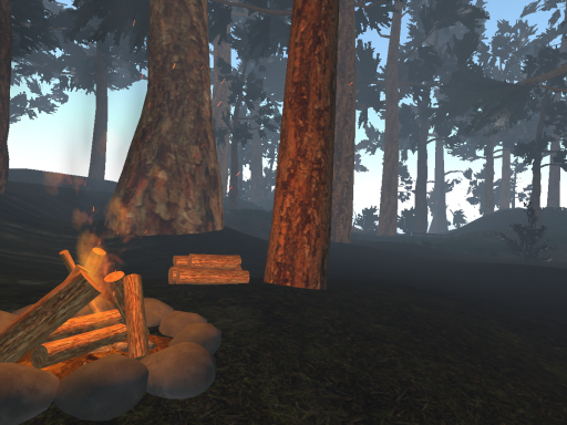 Lost in the Woods