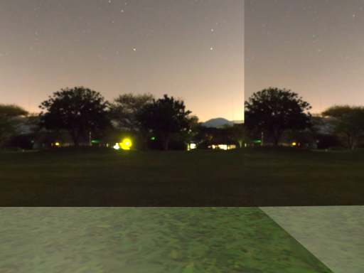 Grassy plain