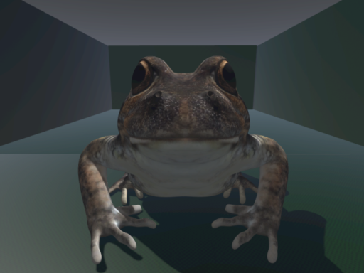 Room of the Frog
