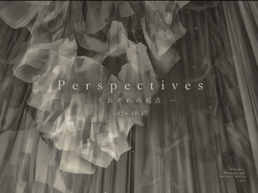 020 - Perspectives -