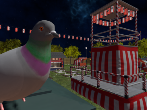 ハト公園