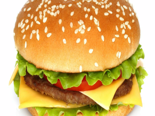 UDON HAMBURGER