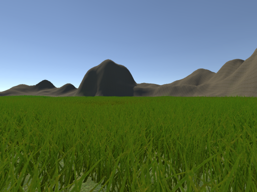 Open Meadow