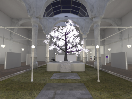 Violet's 2024 memory gallery