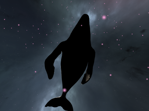 飞翔的鲸鱼