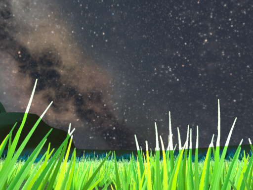 星の平原