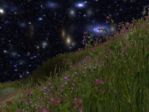starry night