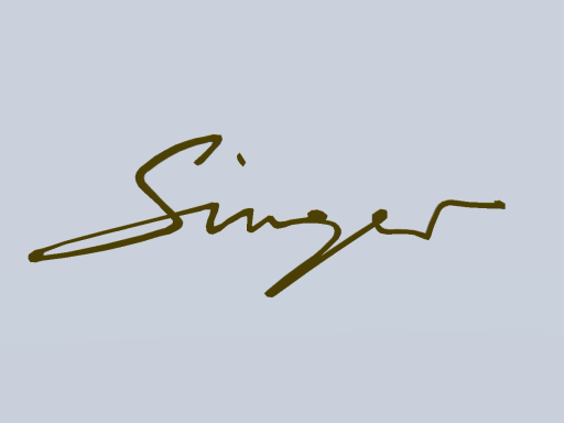Singer 911