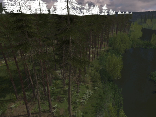 See im Nadelwald HQ