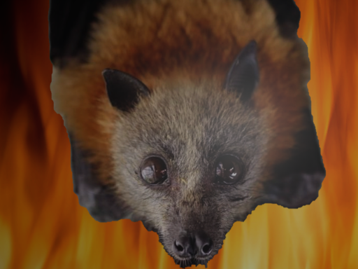 church of bat