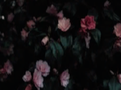 Flower Dream