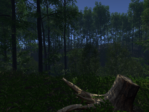 Forest