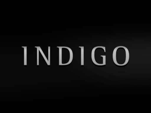 231225_indigo_01