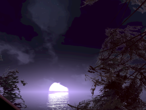 Moonlit Wanderings
