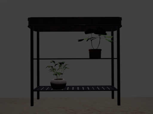 plant house