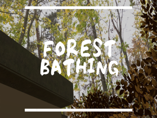 Forest Bathing