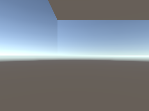Literally mirrors