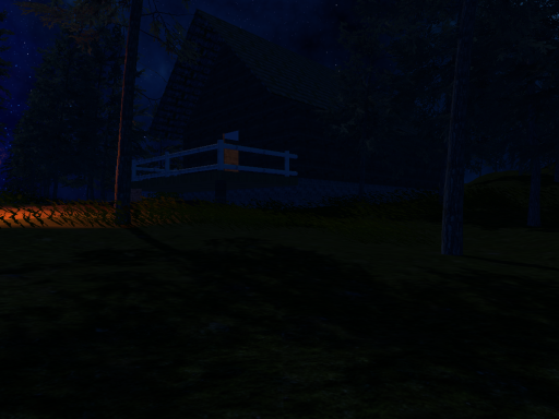 Midnight Forest