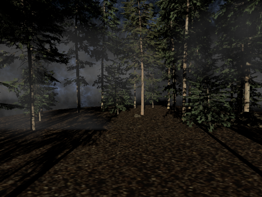 Small Rainy Forest