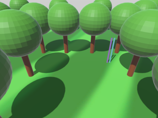 simple forest