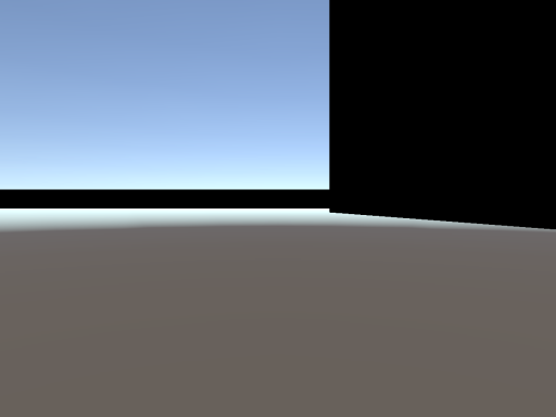 Mirror World