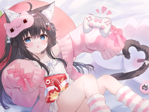猫窝