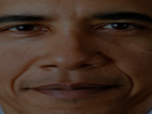 Obama appreciation box